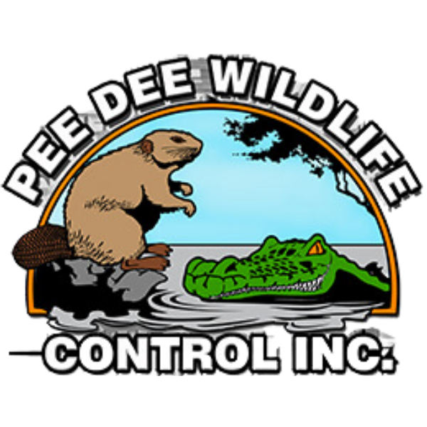 Pee Dee Wildlife Control